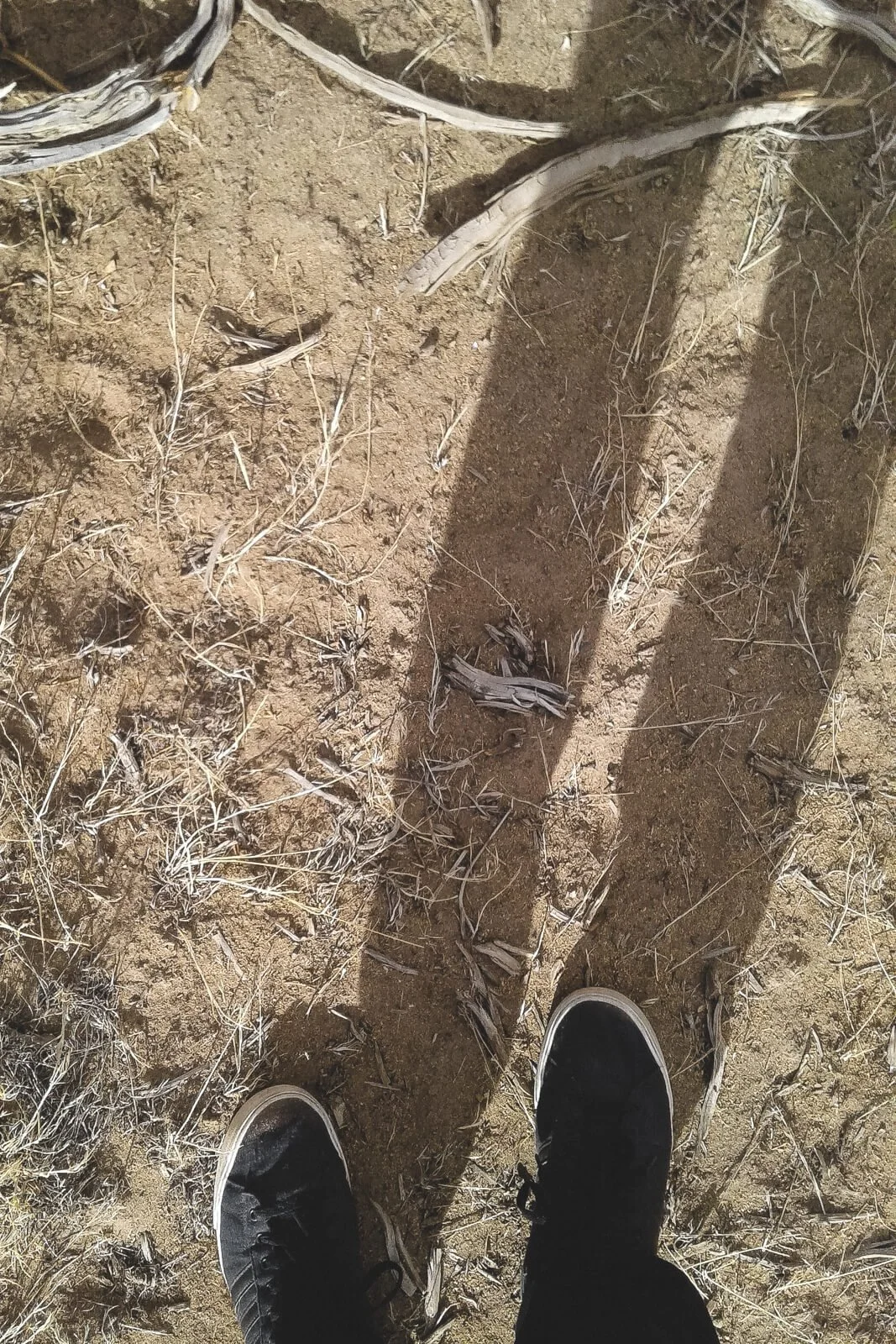 Eli's feet and shadow above the desert dirt.