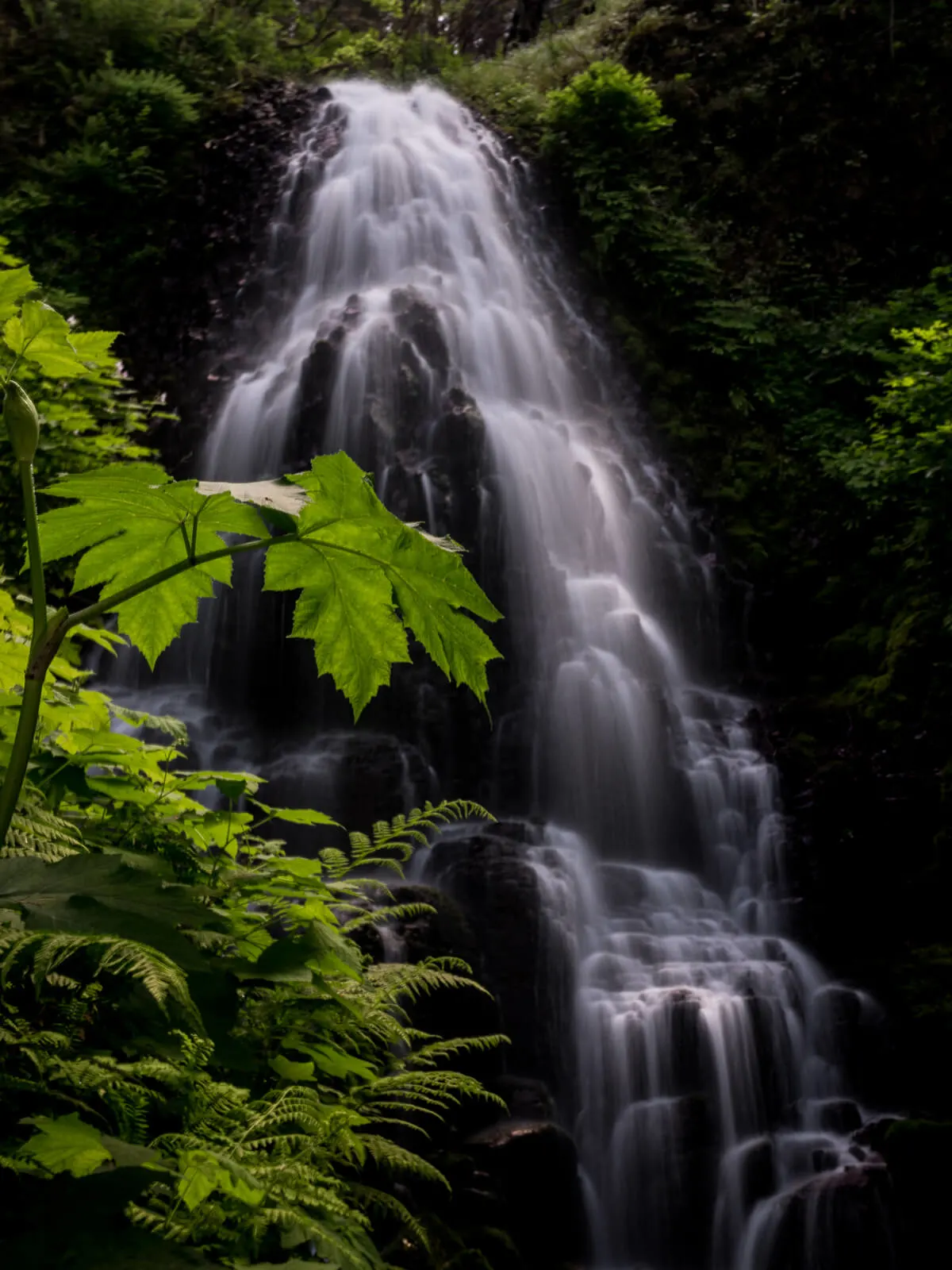 Fairy Falls with green leafs