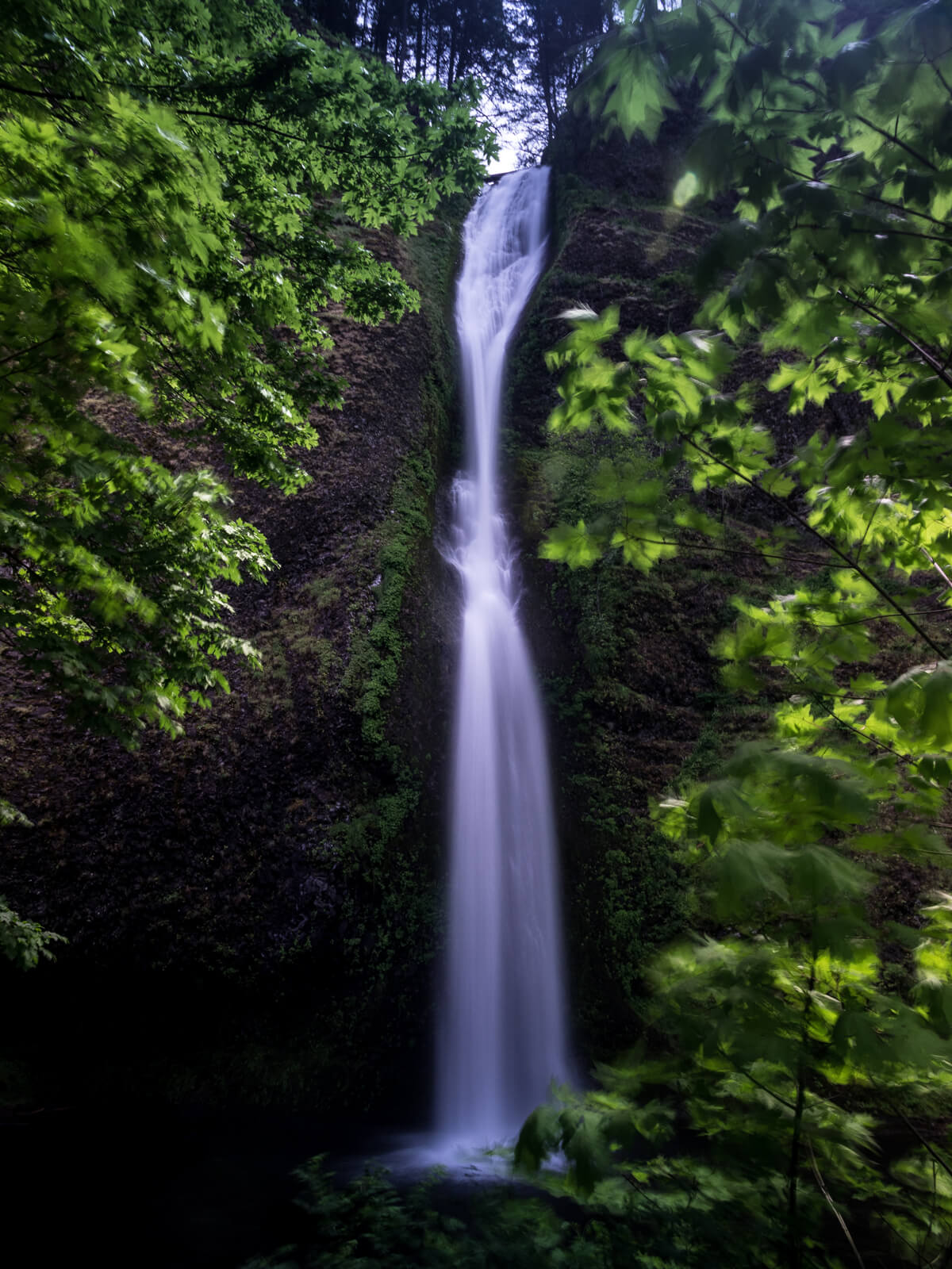 Horsetail Falls