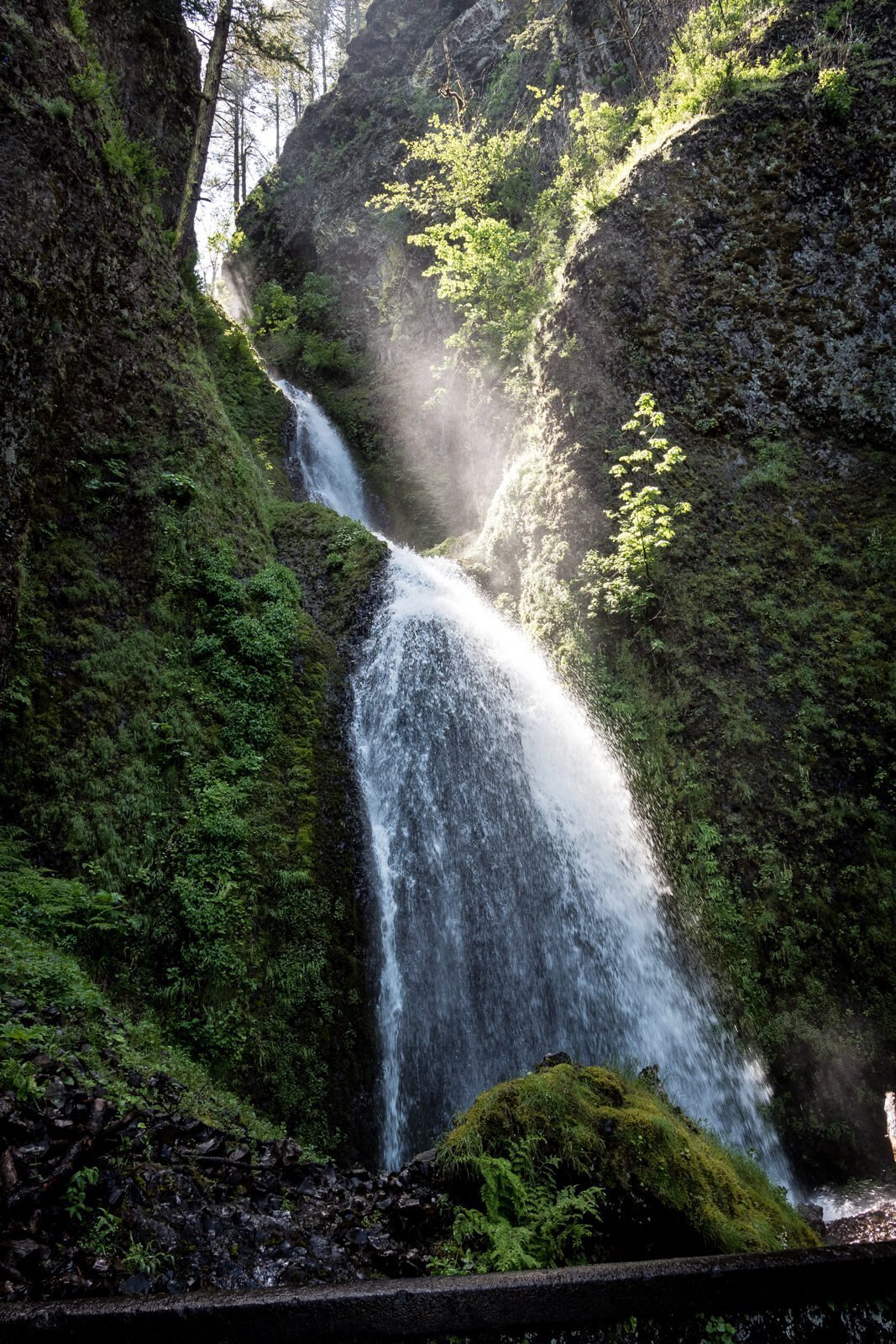 Wahkeena Falls is a beautiful Oregon waterfall hike.