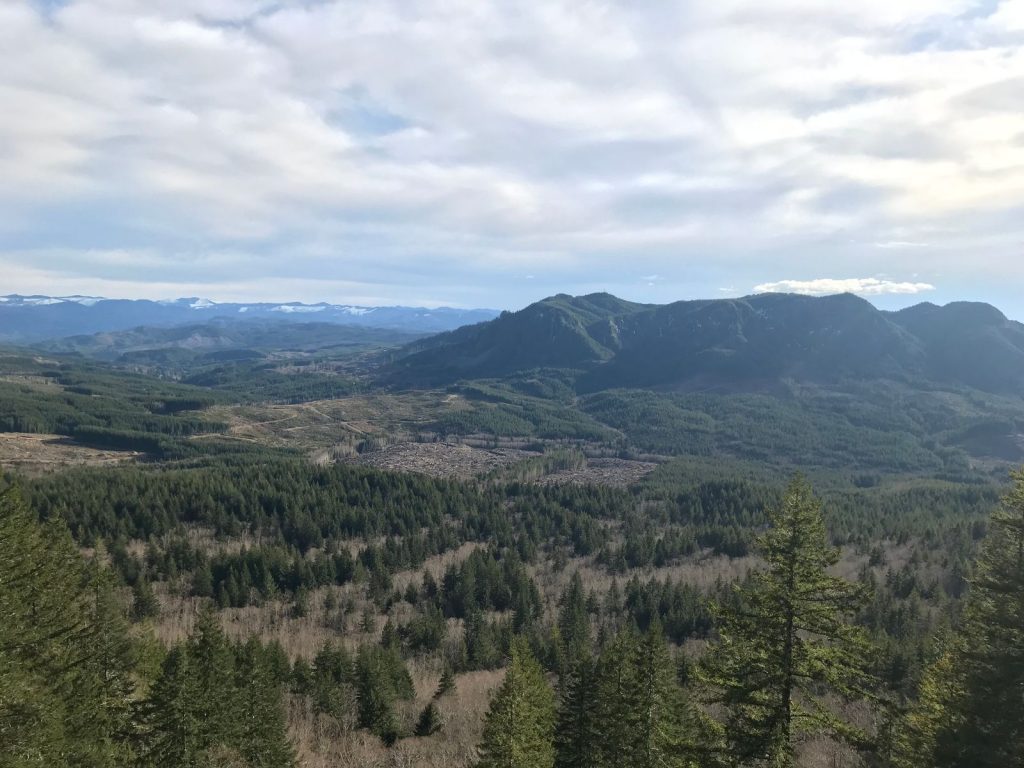 The view over Oregon from the top of Saddle Mountain.