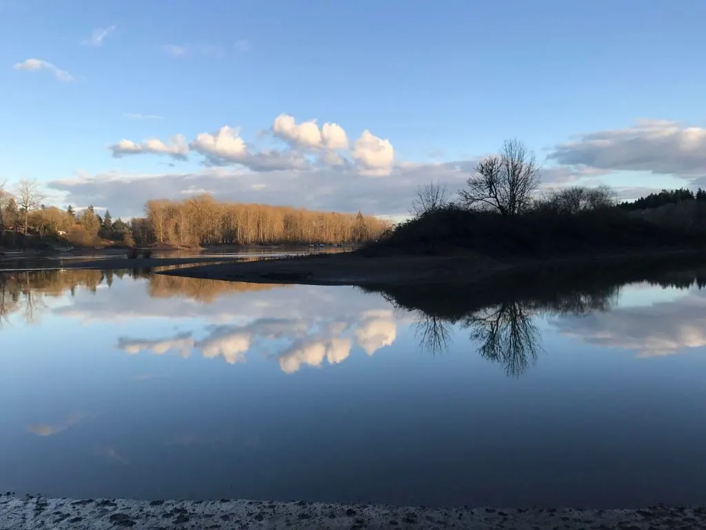 Lake view at Mary S. Young Park