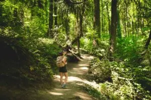 Best hikes in Portland, Oregon
