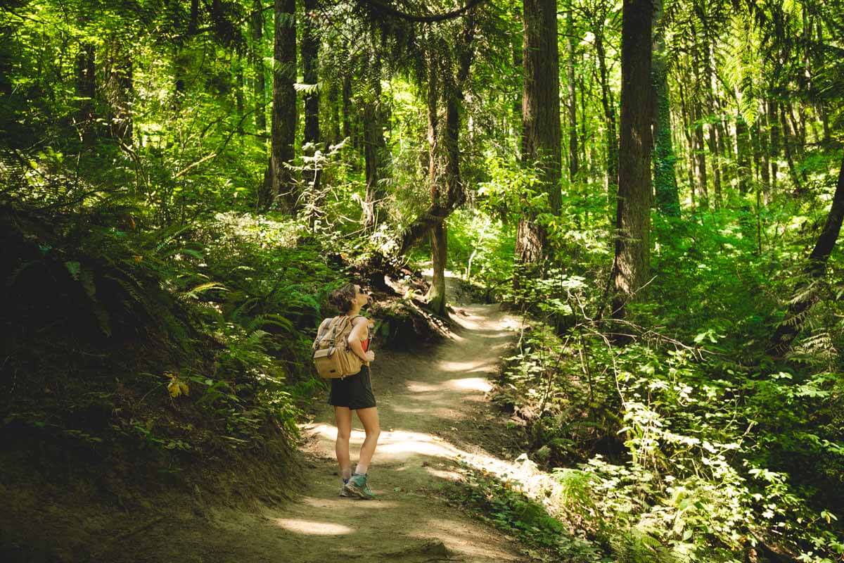 21+ Awesome Hikes Near Portland to Escape The Bustle