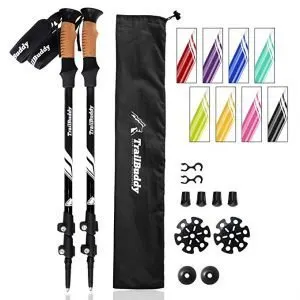 Hiking poles