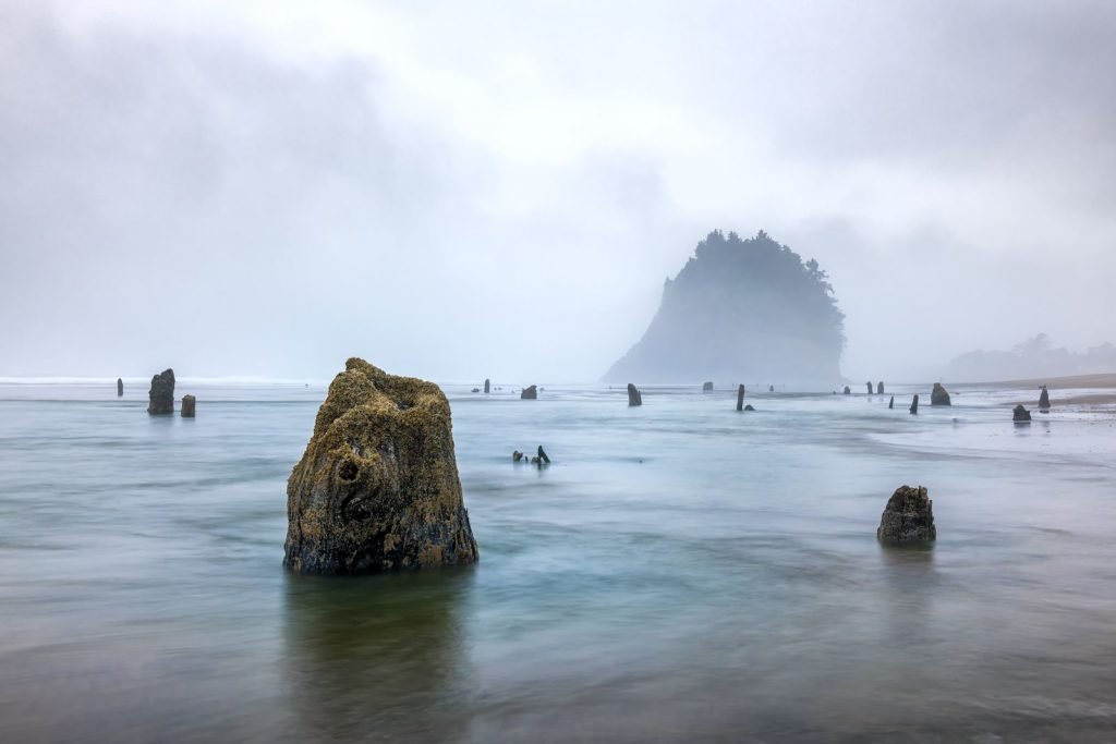 Neskowin Beach should be added to your list of Portland day trips.