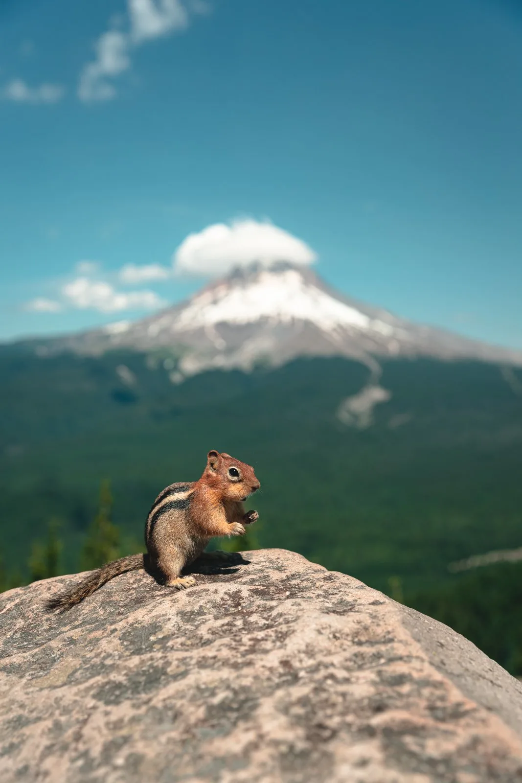 Tom Dick and Harry Mountain is one of many awesome Portland day trips.