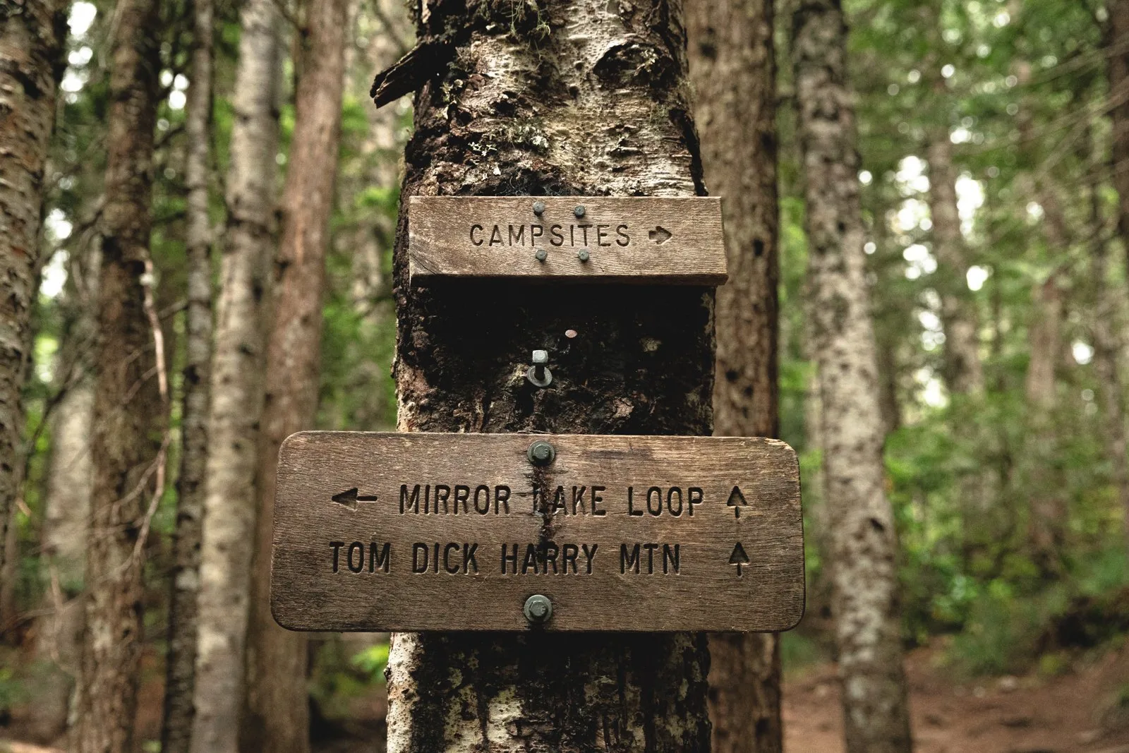 Sign on the trail