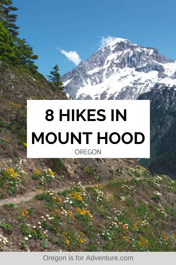 7 Awesome Mount Hood Hikes (Including Waterfall Hikes)