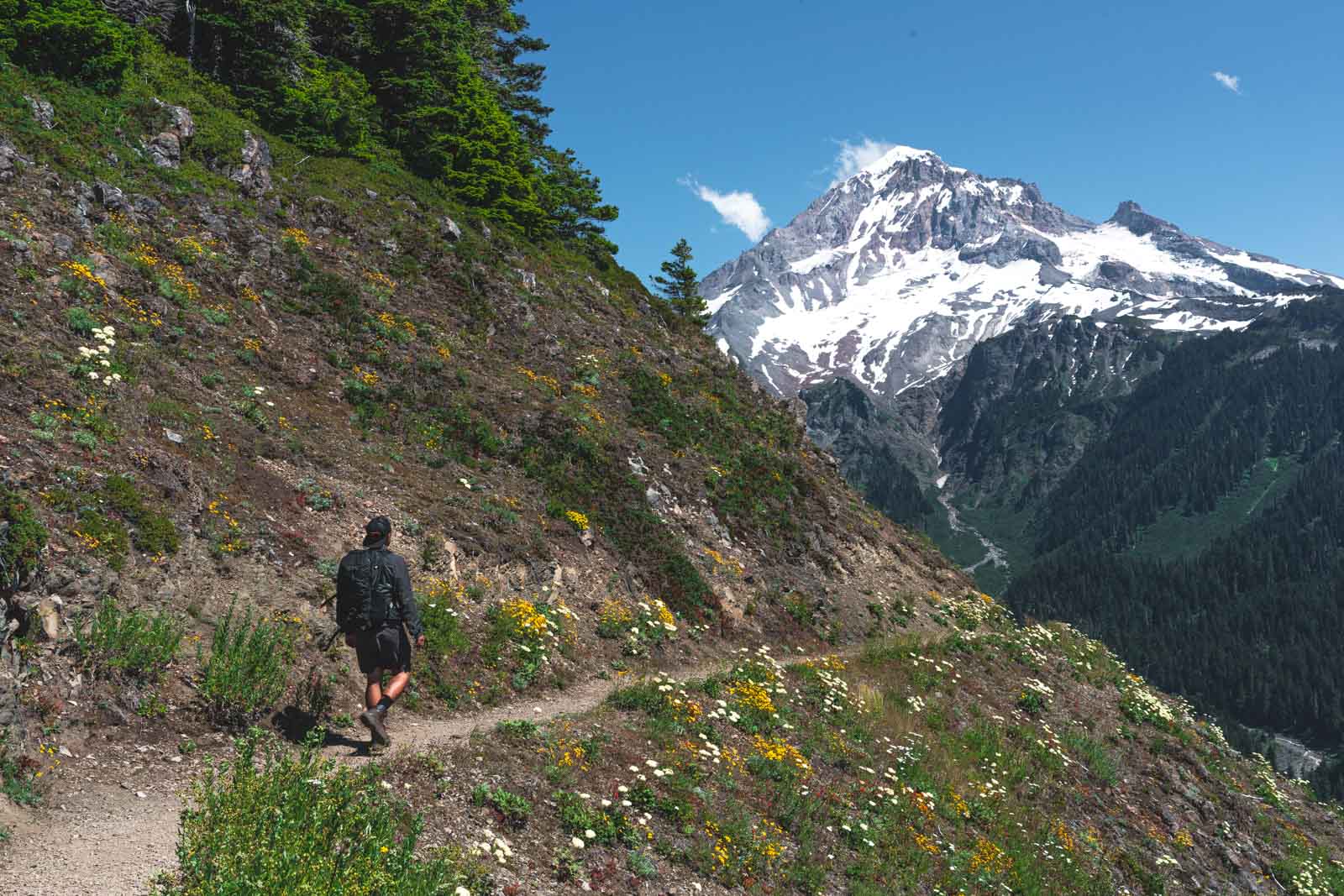 hikes near mt hood