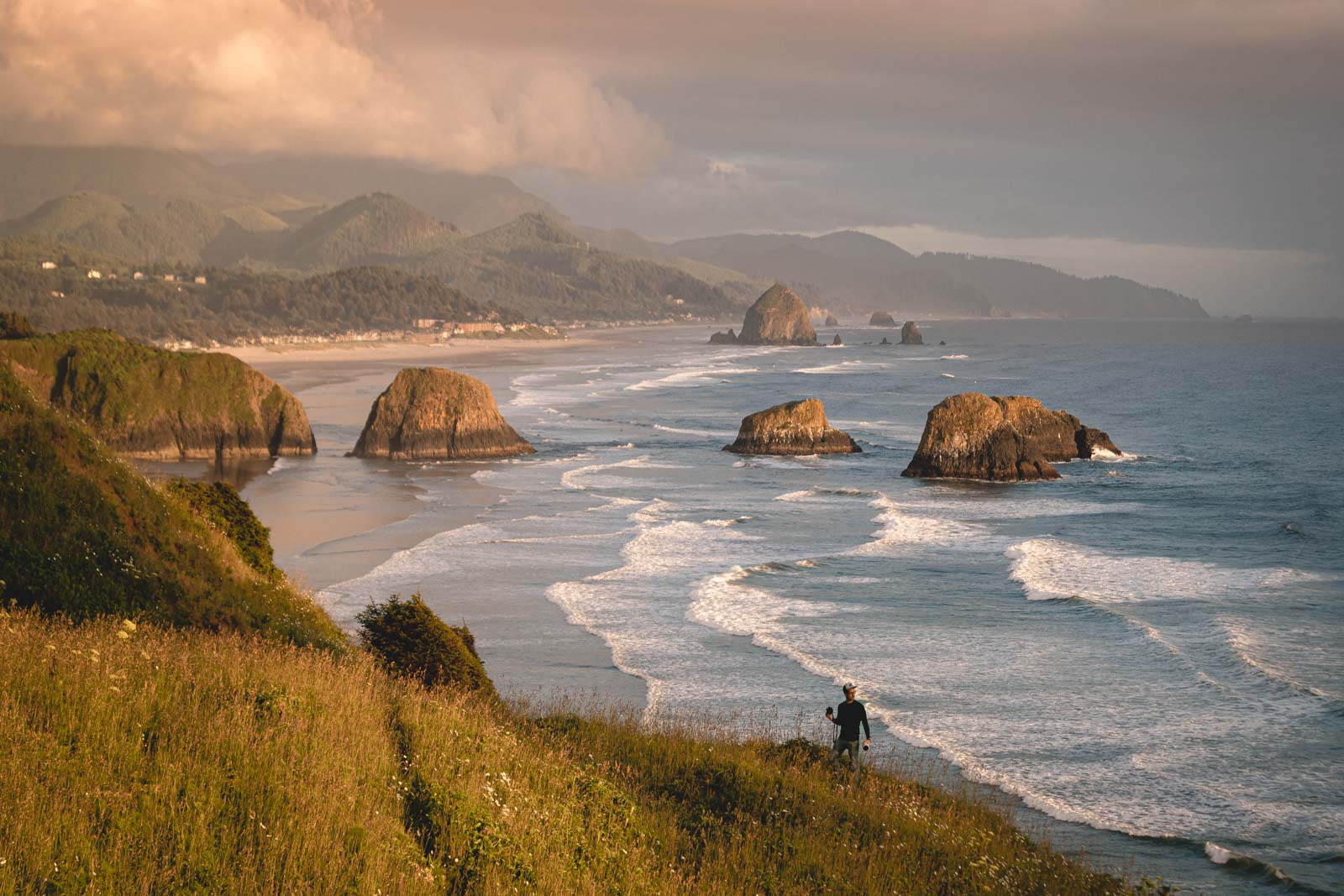 Oregon Oregon coastline file commons wikimedia - Botanical Wonders