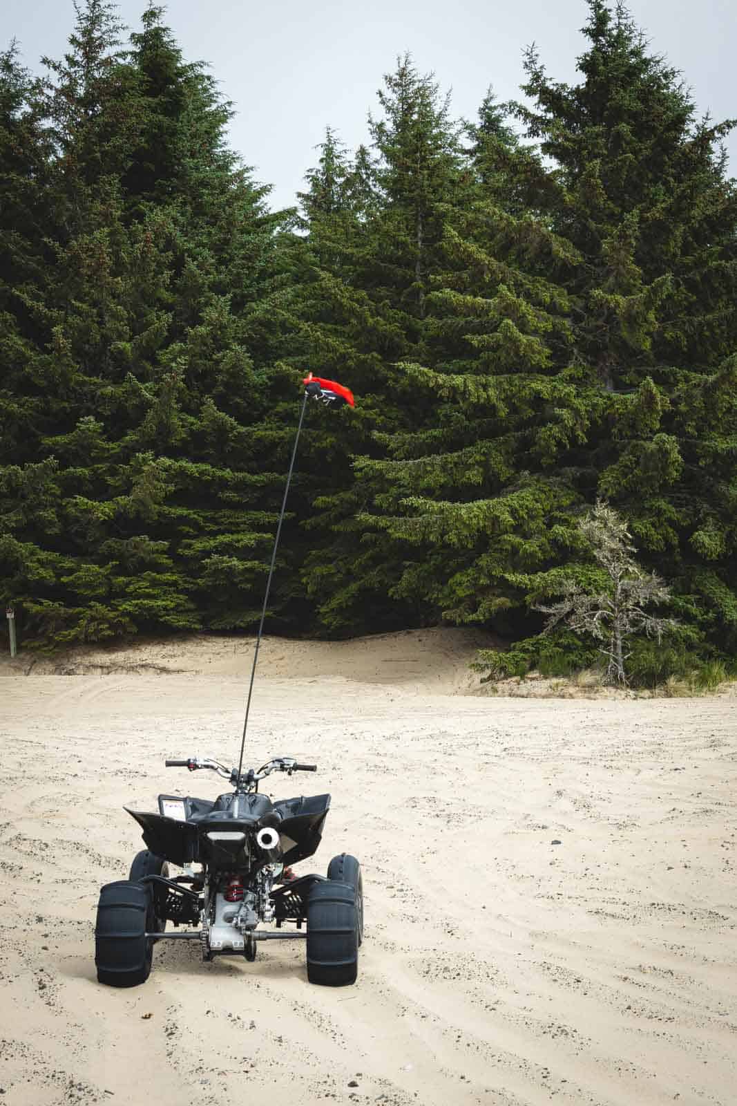 Dune buggy with trees in the back.