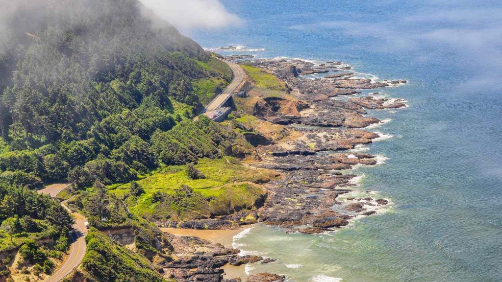 Hillside of the Cape Perpetua on the Oregon Coast road trip