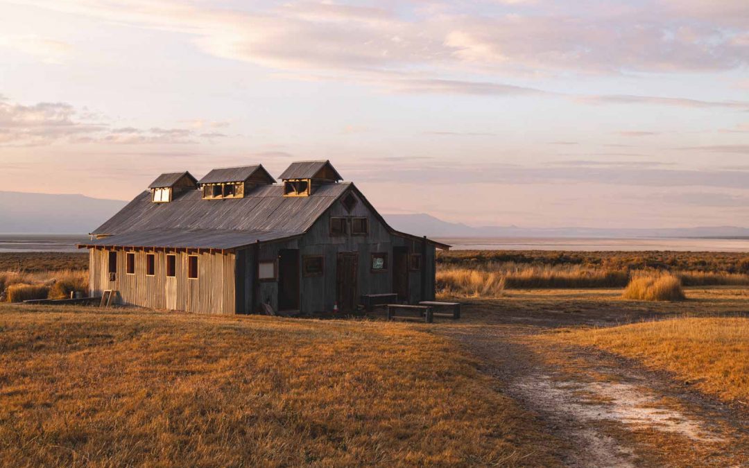 7 Cool Things to do Around Summer Lake, Oregon