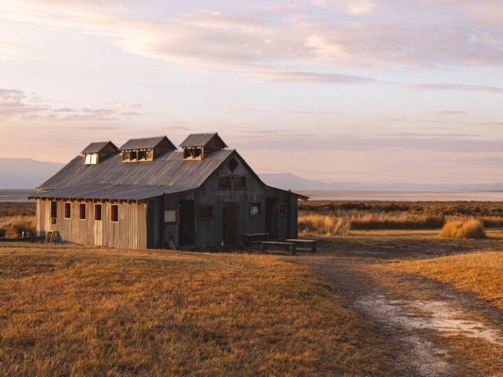 7 Cool Things to do Around Summer Lake, Oregon
