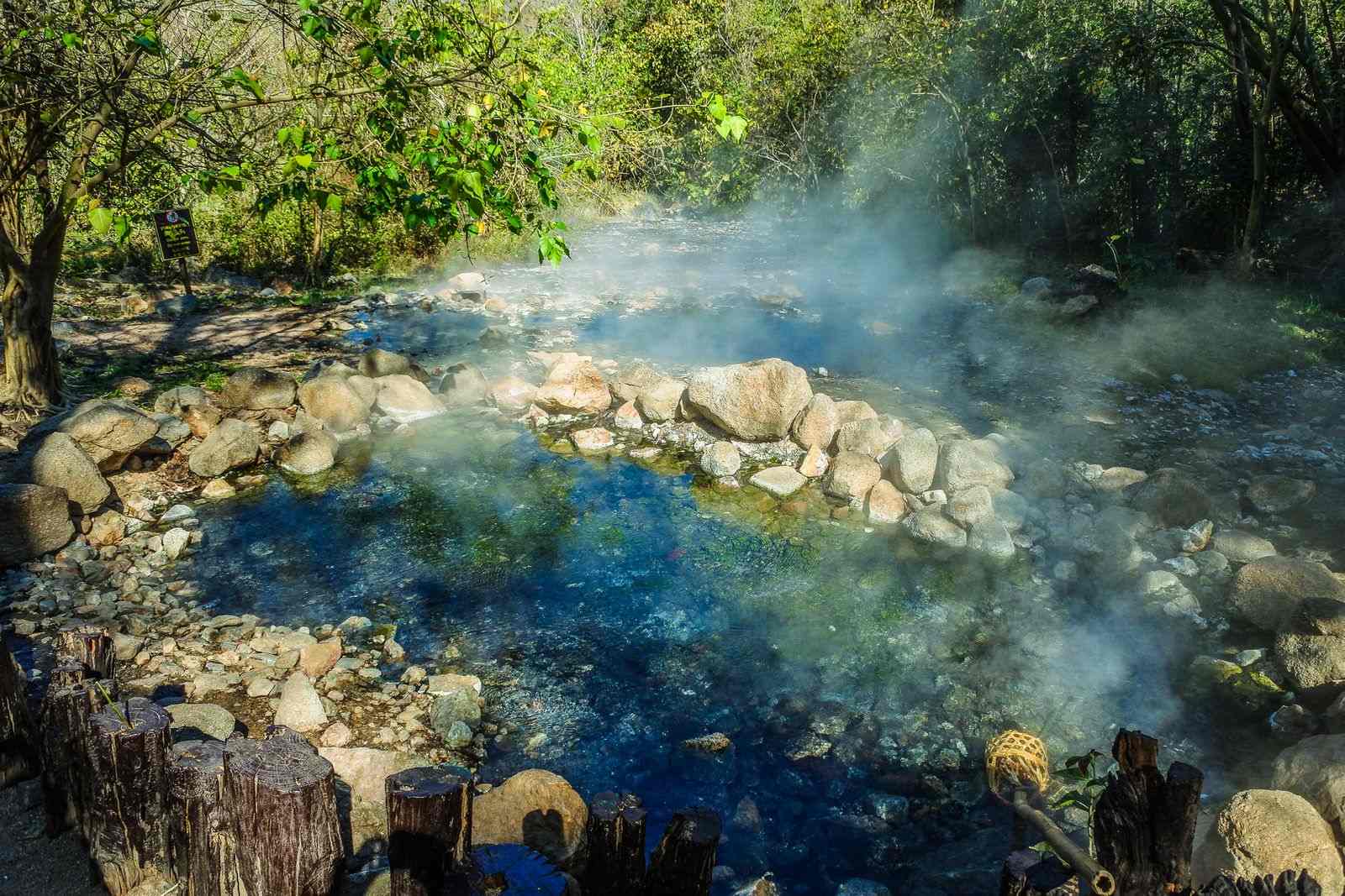 Steam rising from the Wall Creek Warm Springs in between bushes and foliage.