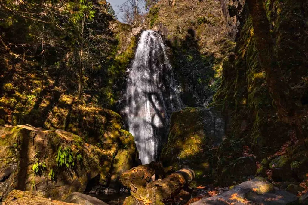 Majestic view of Susan Creek Falls in Umpqua National Forest.