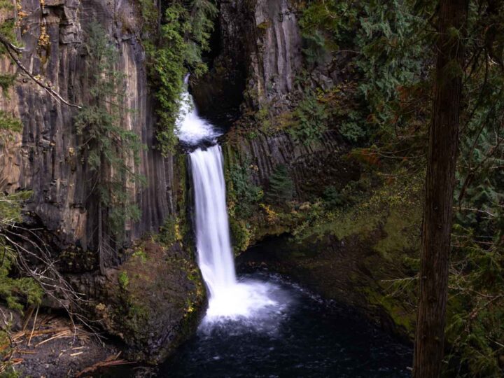 Guide to Umpqua National Forest: Waterfall Hikes & Hot Springs