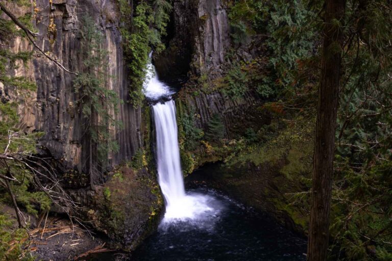 Guide to Umpqua National Forest: Waterfall Hikes & Hot Springs