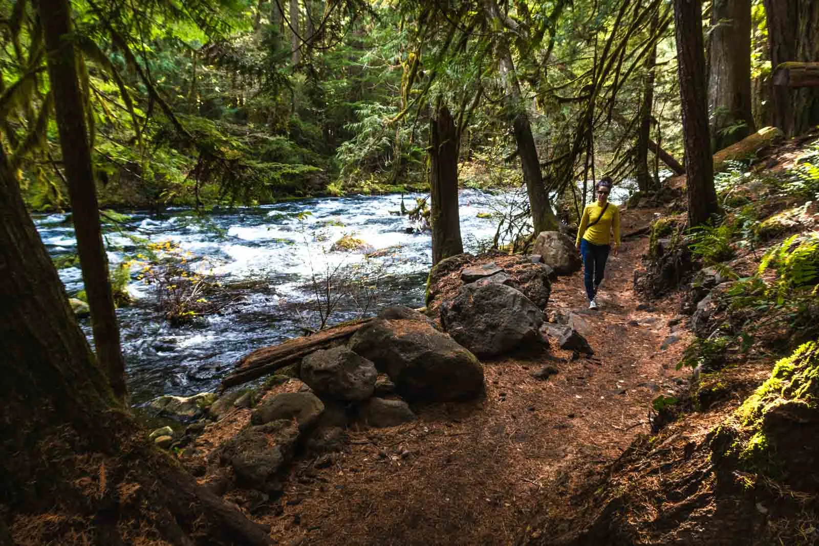 Blue Pool hike trail is a popular things to do in Oregon