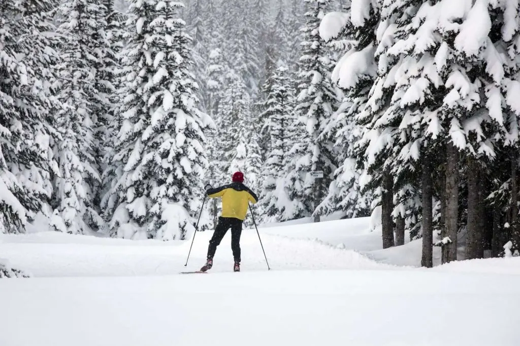 Visit Oregon in winter to try cross country skiing