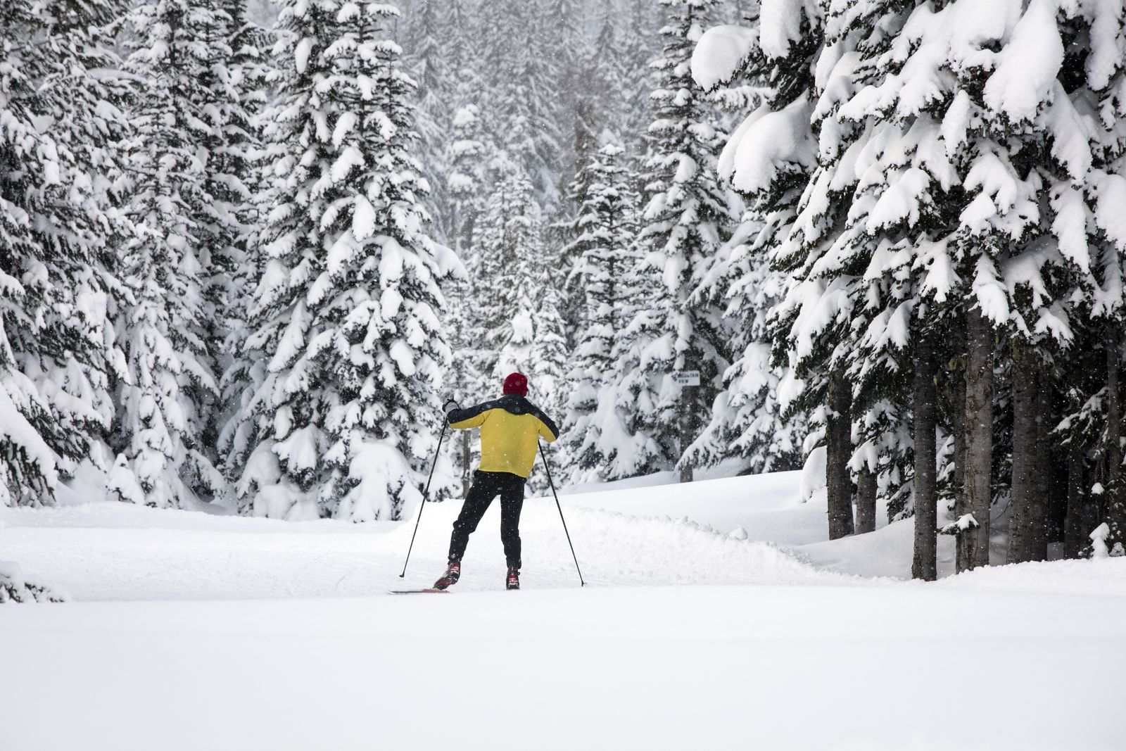 Man in a yellow jacket cross-country skiing in the mountain snow in Oregon.