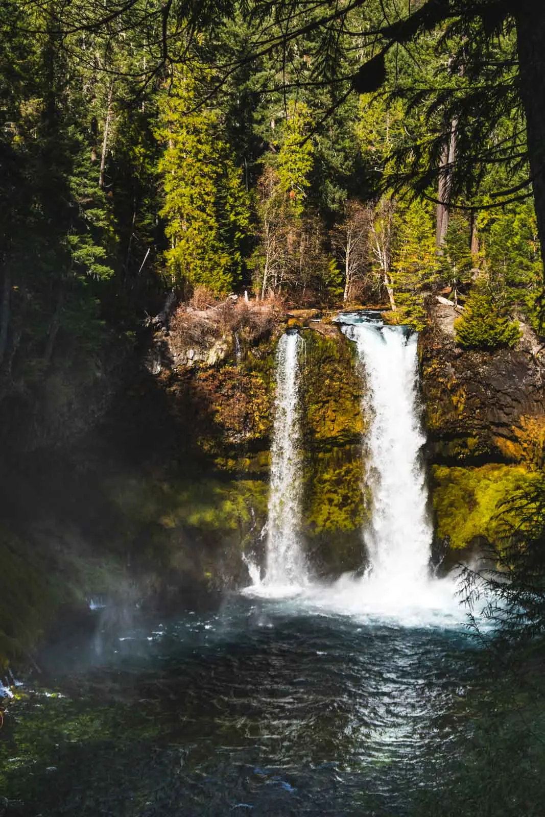 Koosah Falls is an easy Oregon waterfall hike.