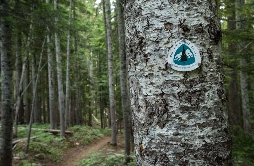 The Pacific Crest Trail in Oregon