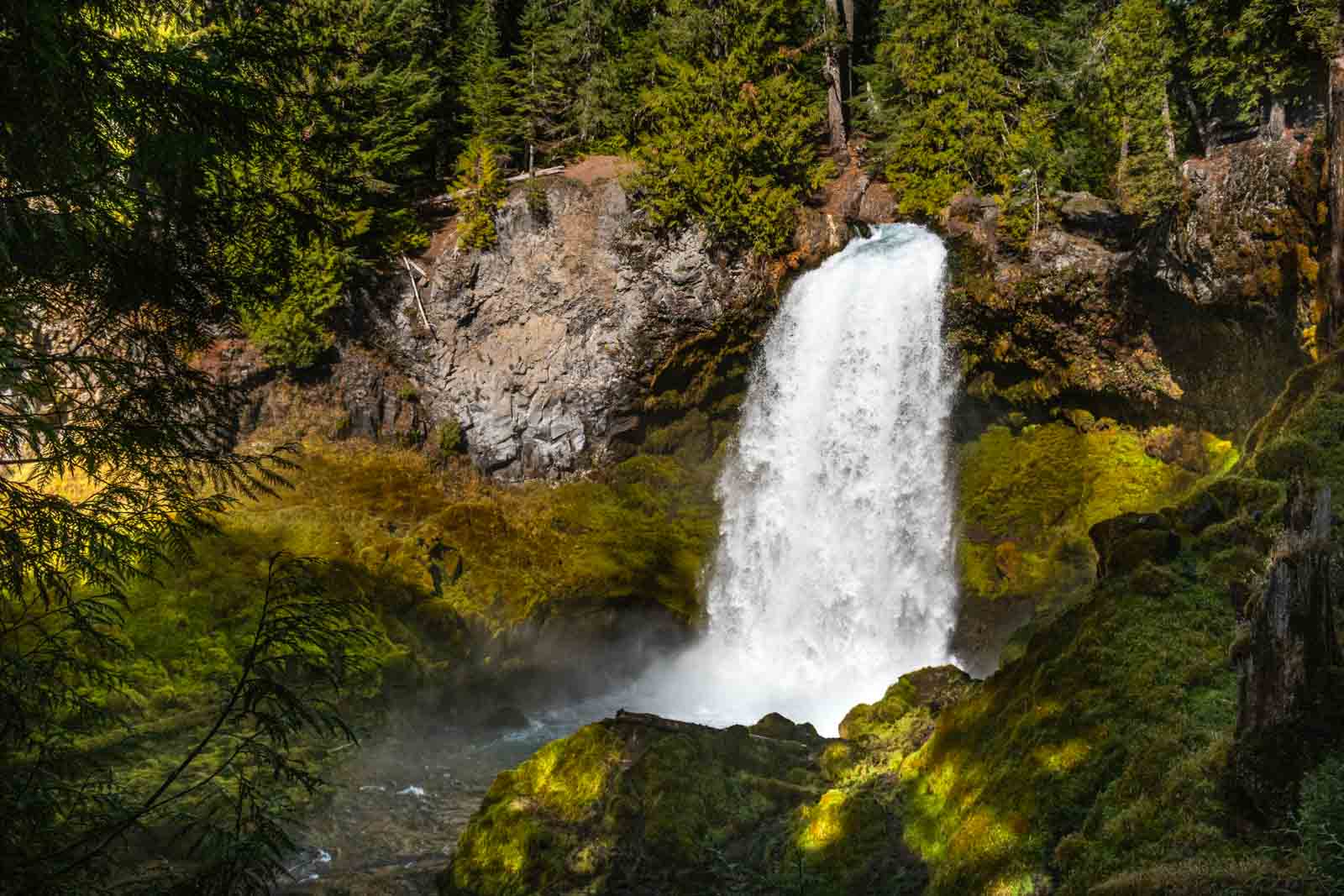 Sahalie Falls is an easy Oregon waterfall hike.