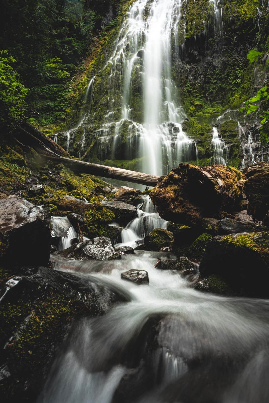 Proxy Falls is just one of the many beautiful things to do in Bend
