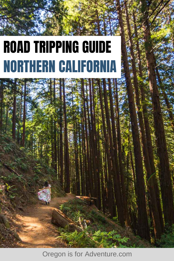 21+ Adventurous Things to Do on a Northern California Road Trip