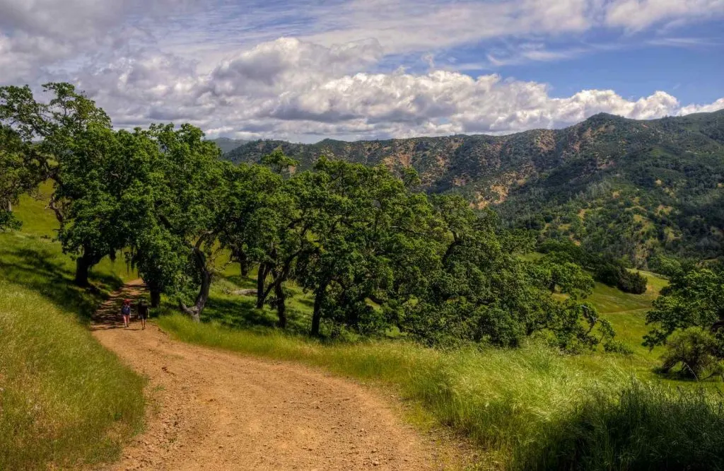 Henry Coe State Park is a great place to visit in Northern California