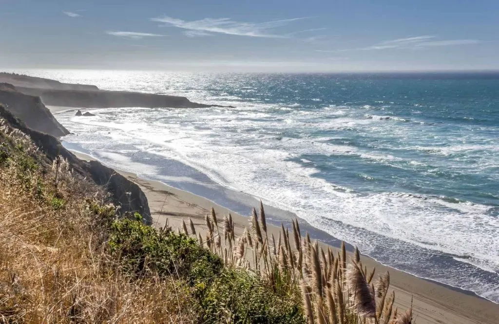 Hiking in Mendocino is an adventurous thing to do in Northern California