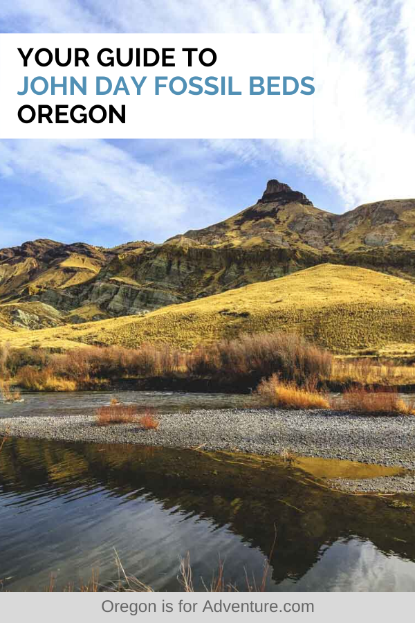 The John Day Fossil Beds in Oregon—Painted Hills, Sheep Rock & Clarno