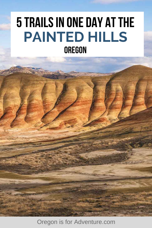 Exploring The Painted Hills—Oregon's Most Alien Landscape