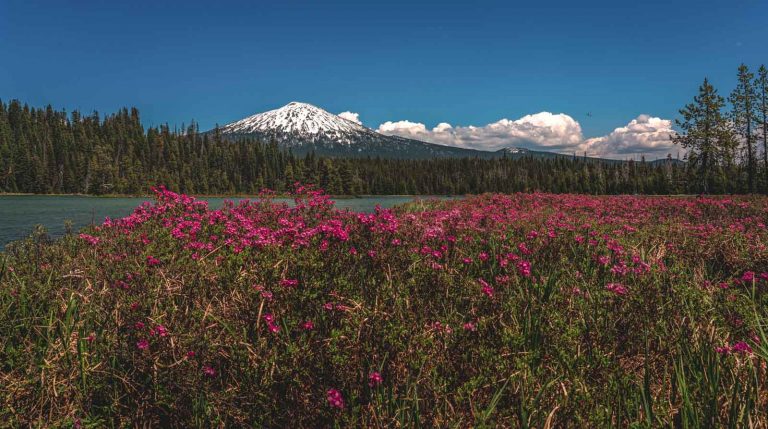 Hosmer Lake in the Cascade Lakes is scenic and stunning.