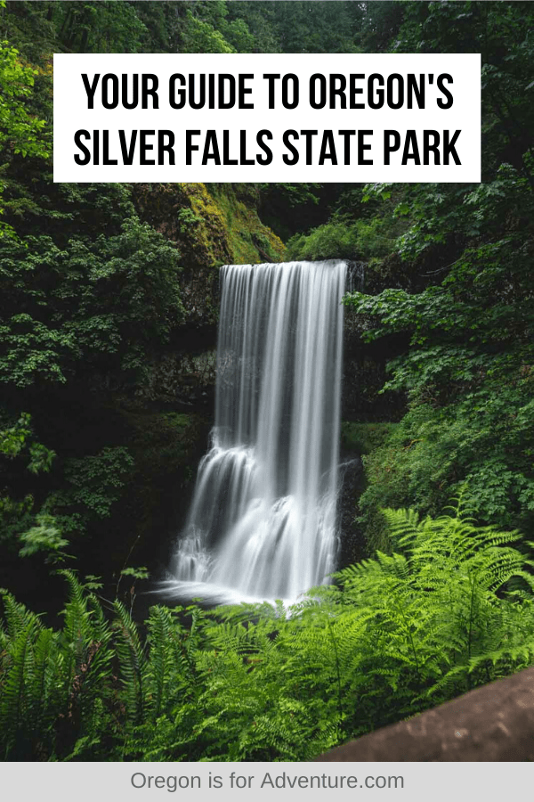 6 Oregon State Parks in the Cascade Range You Should Visit