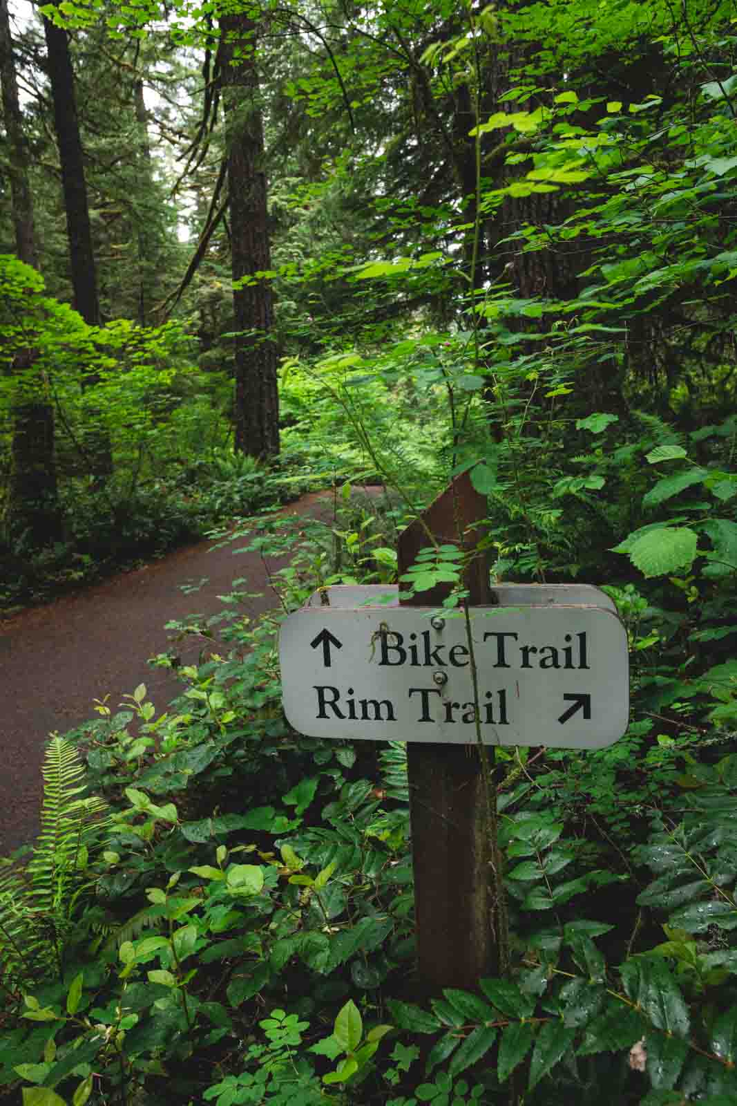 There are some fun biking trails around Silver Falls State Park.