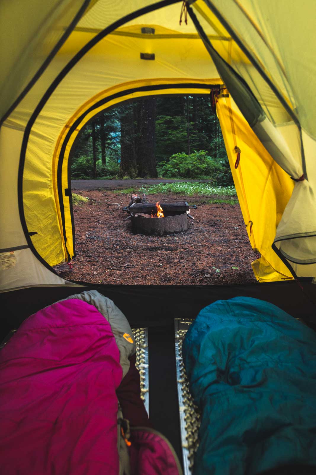 Camping at Silver Falls State Park