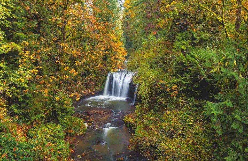 Clackamas Falls is an Oregon waterfall that's especially beautiful during fall.