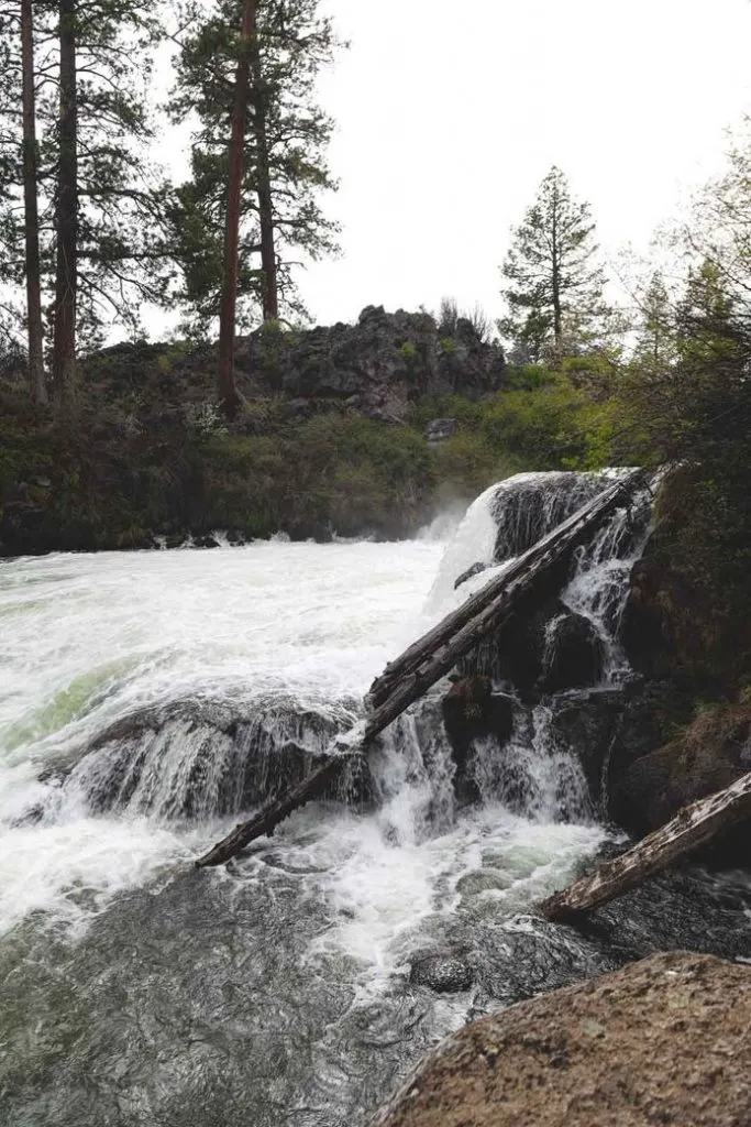 The Deschutes River Trail is a fun thing to do Sunriver.