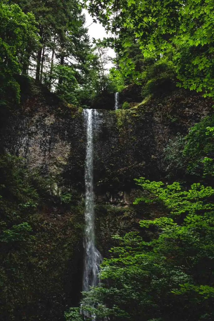 Double Falls is the tallest waterfall in Silver Falls State Park.