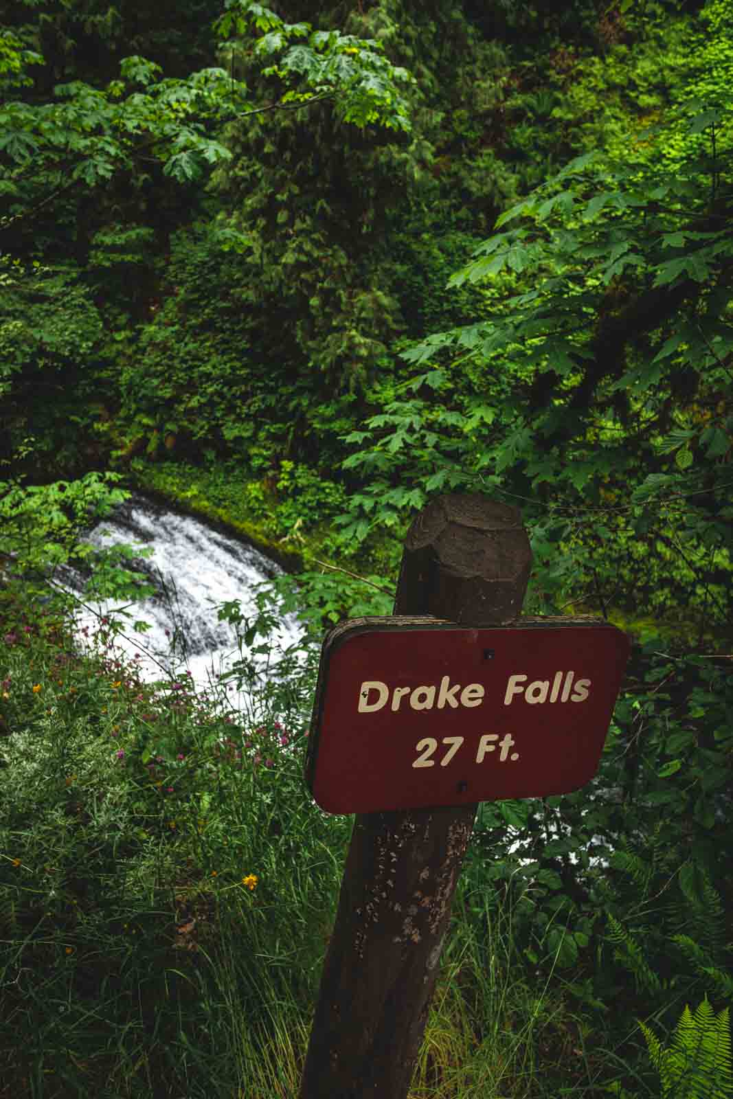 Drake Falls is another gorgeous waterfall on the Silver Falls hike.