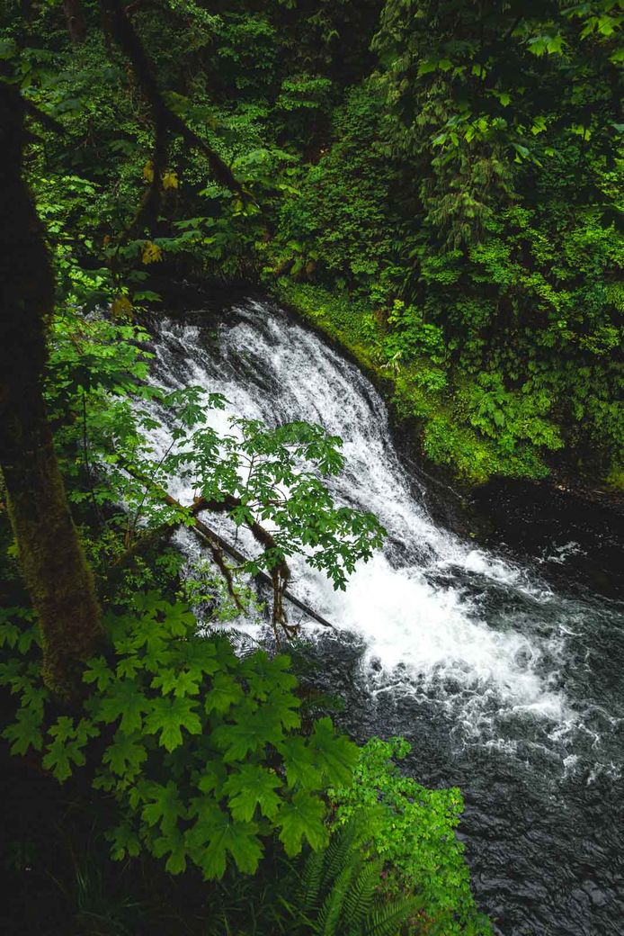 Drake Falls is another gorgeous waterfall on the Silver Falls hike.