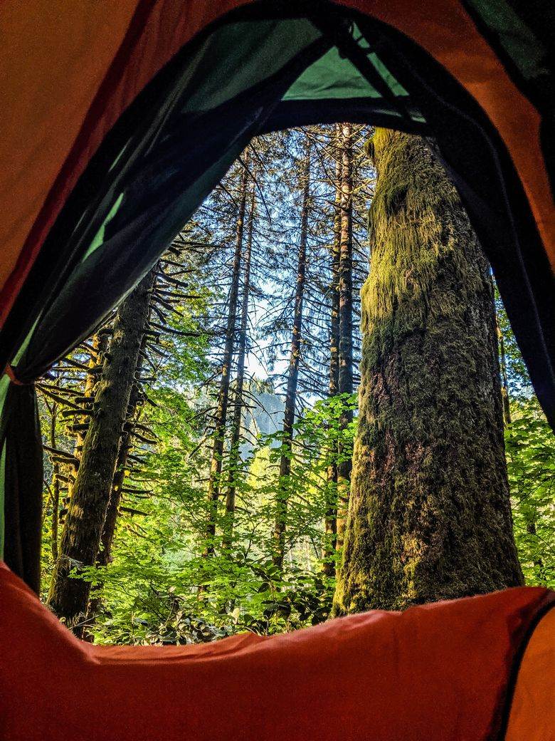 When you go on Tillamook Forest hikes, definitely do some camping!