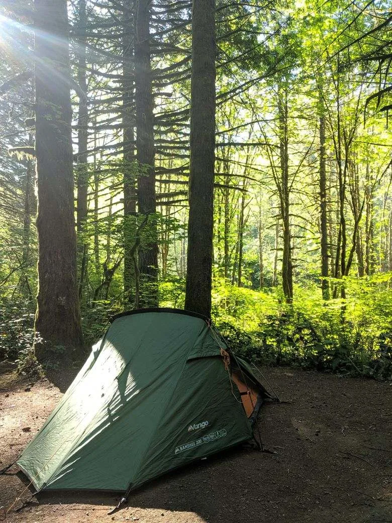When you go on Tillamook Forest hikes, definitely do some camping!