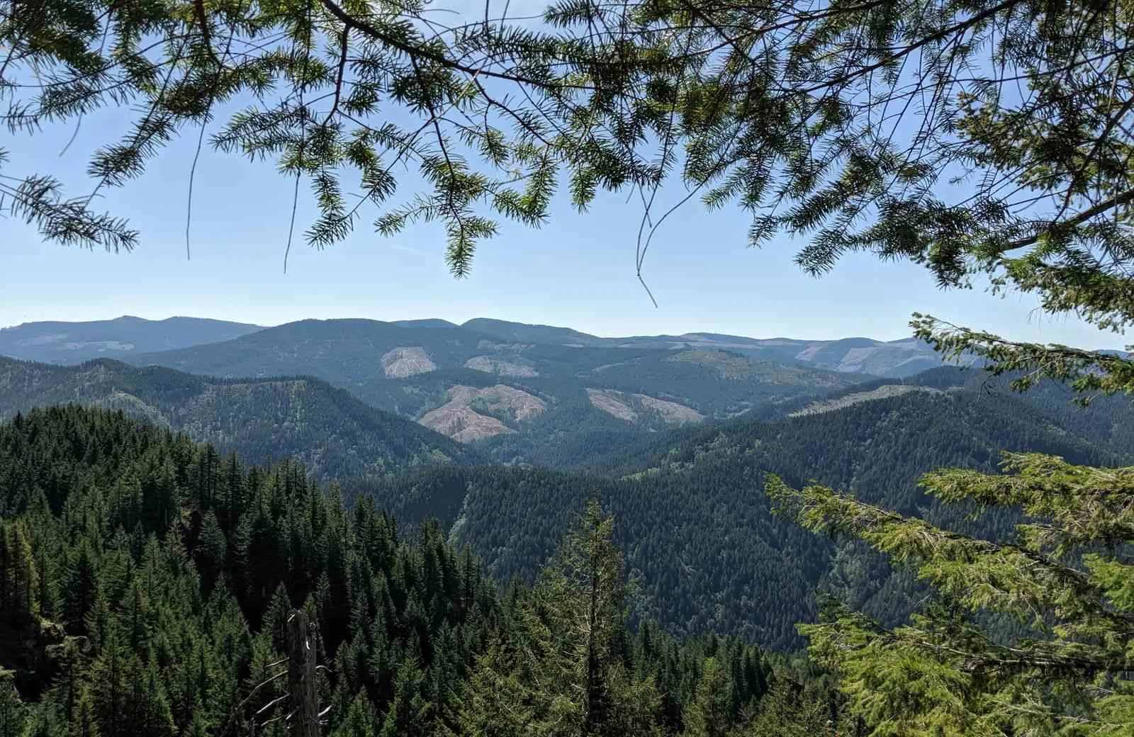 Elk Mountain will be the toughest Tillamook hike that you do, but the views are worth it.