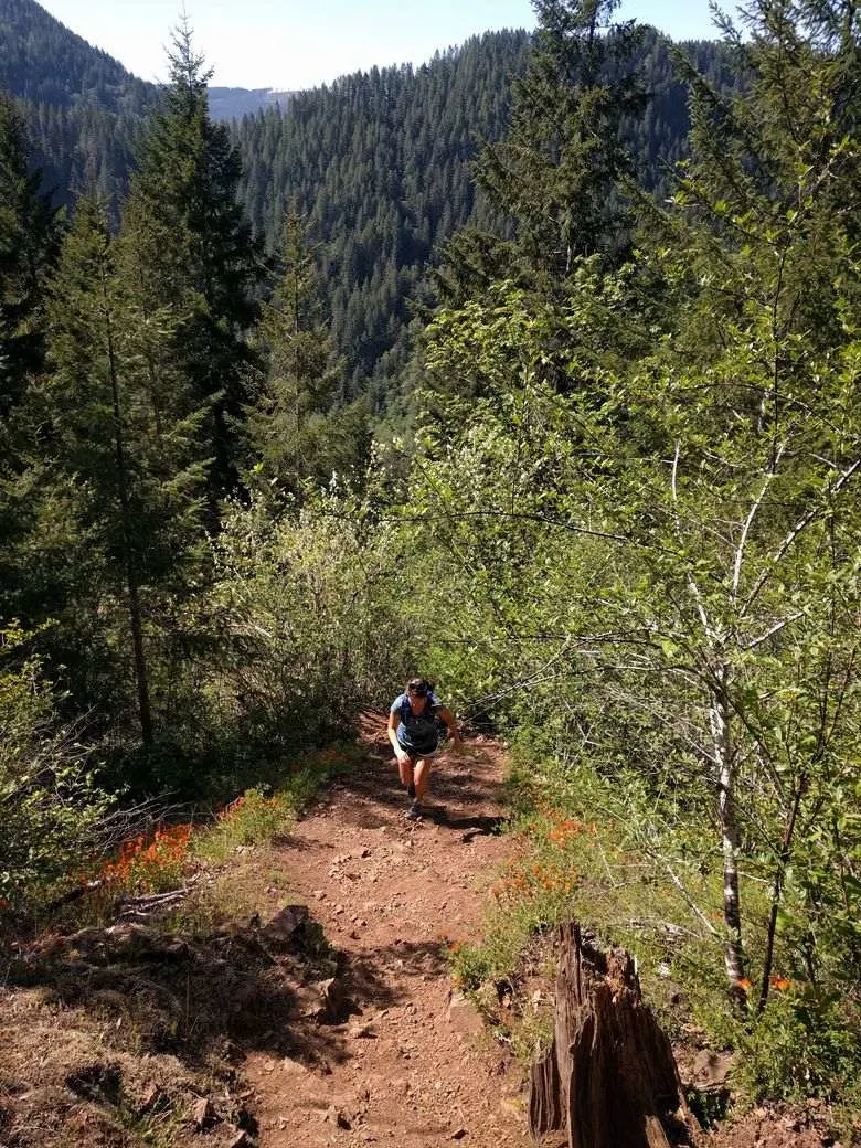 Elk Mountain will be the toughest Tillamook hike that you do, but the views are worth it.