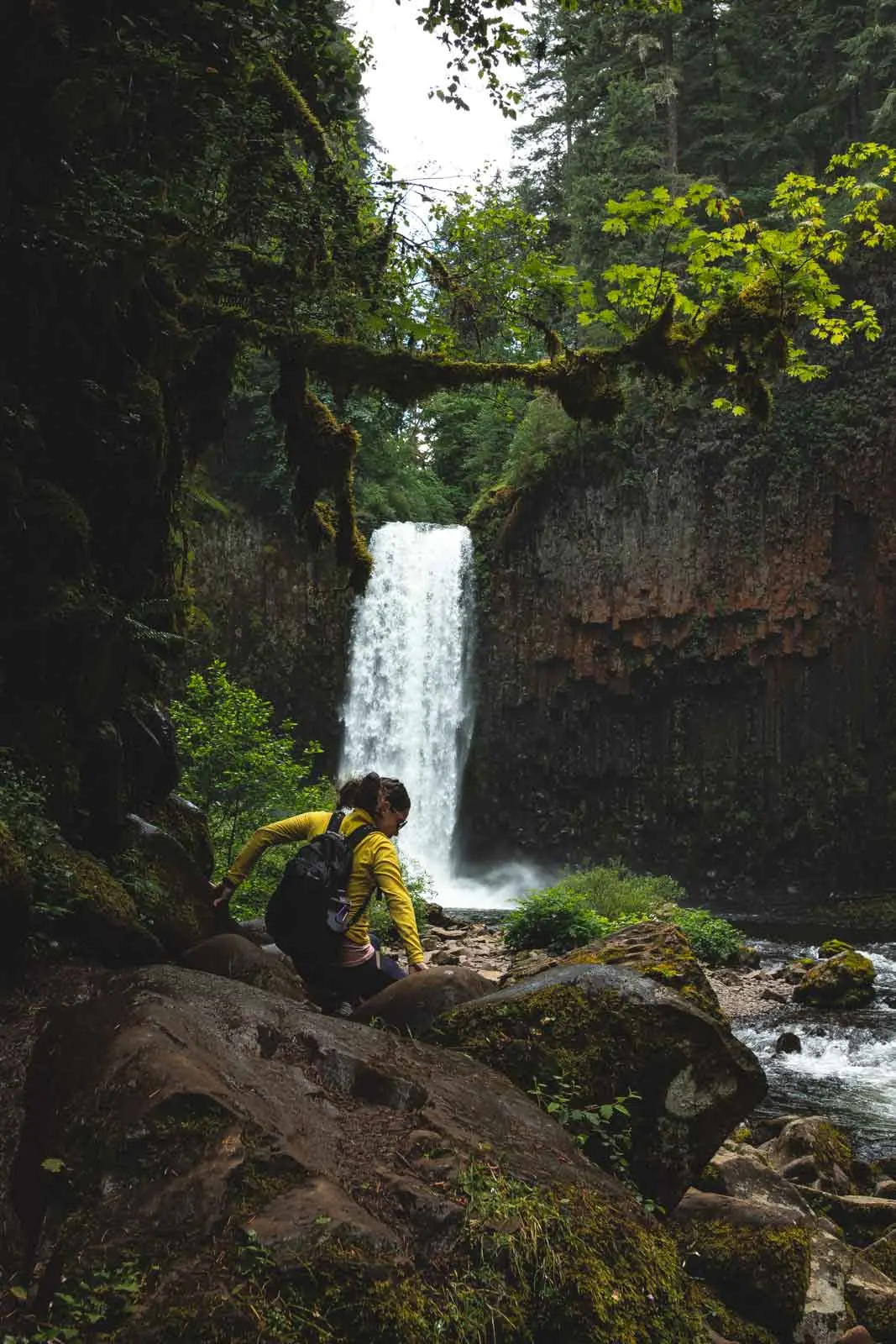 The entrance to Abiqua Falls was stunning.