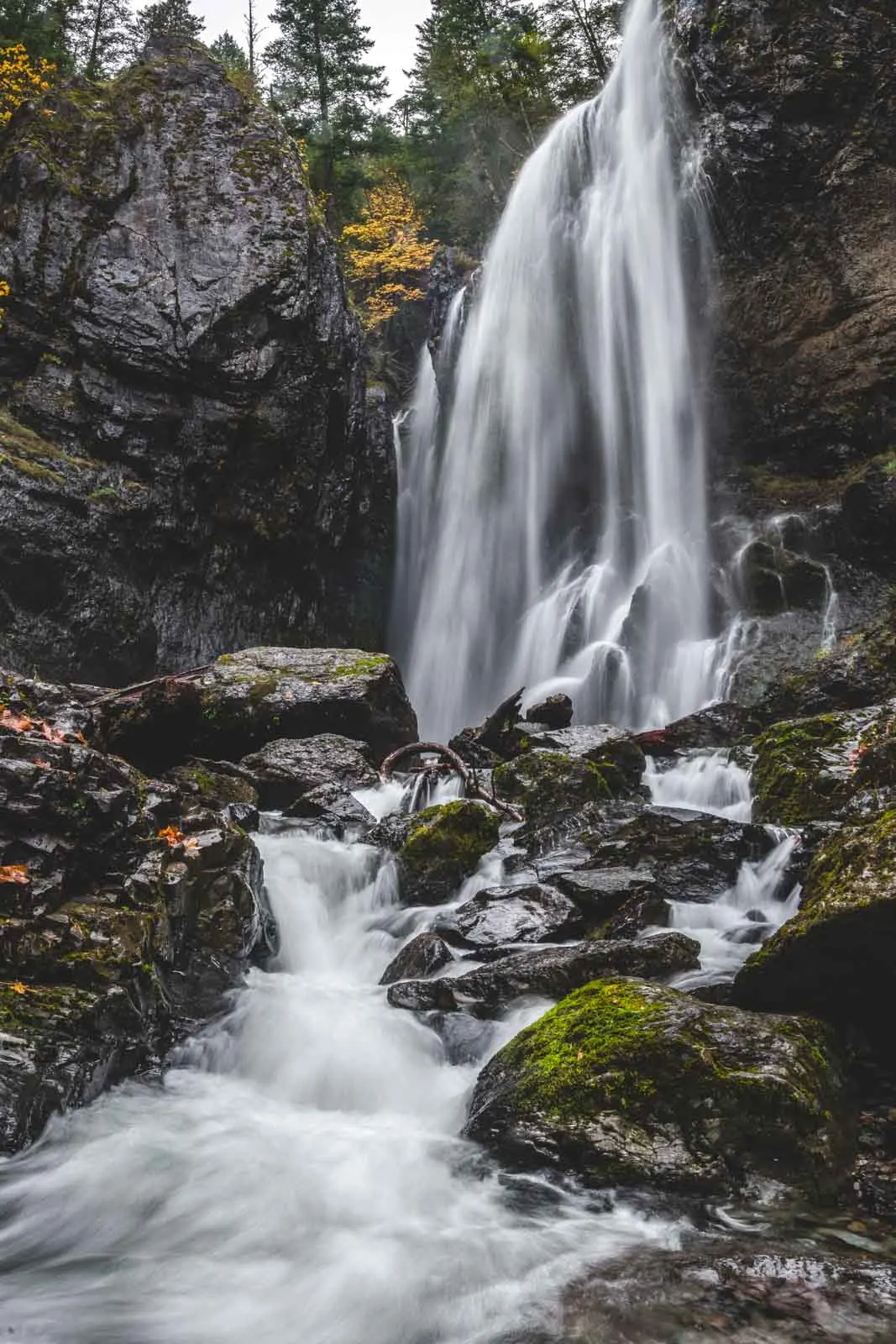 Henline Falls is a scenic and worthwhile Oregon waterfall hike.